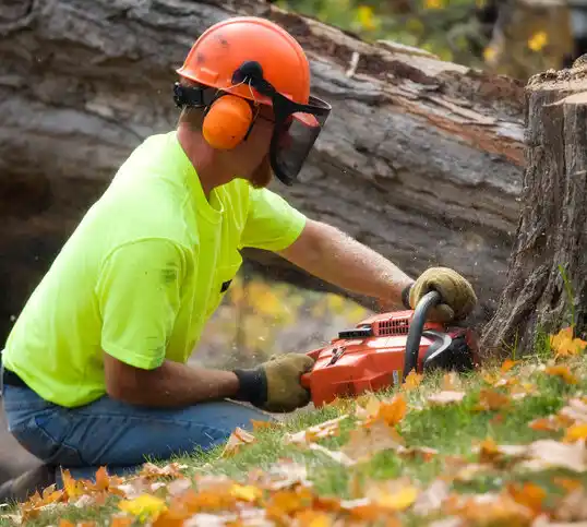 tree services Butler